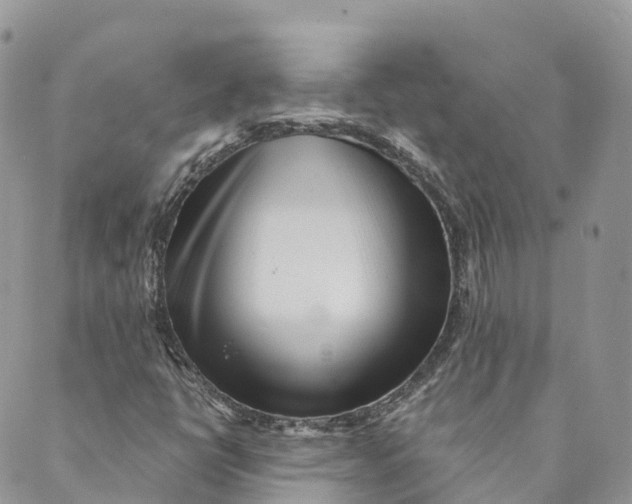 X0000088891398200706291428