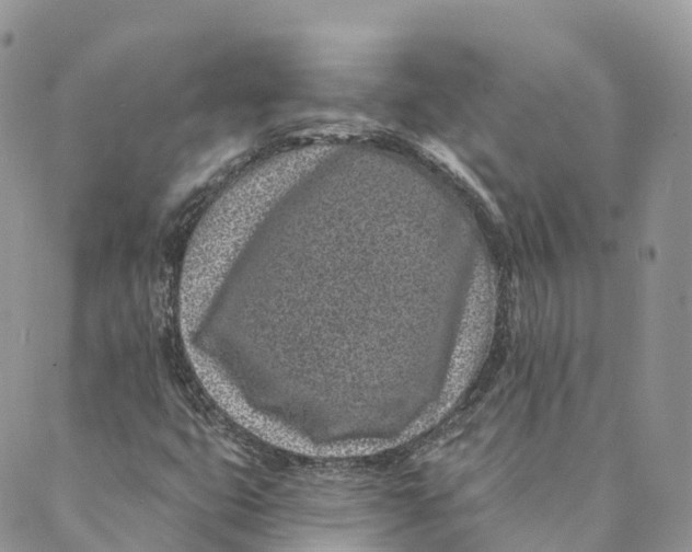 X0000088891399200706291428