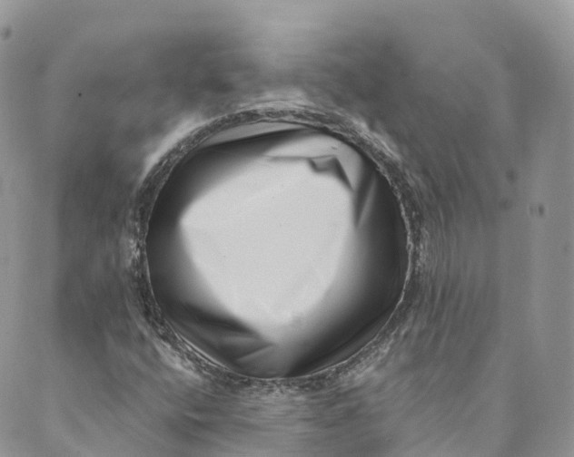 X0000088891400200706291428