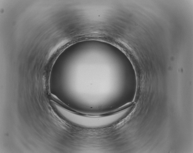 X0000088891402200706291428