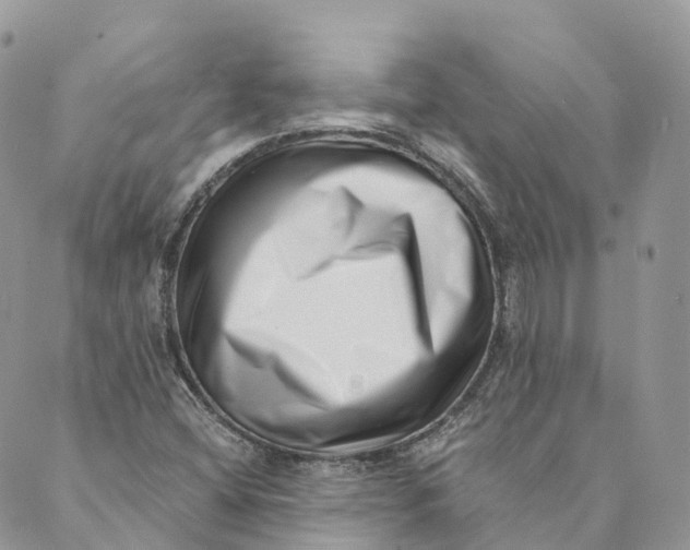 X0000088891404200706291428