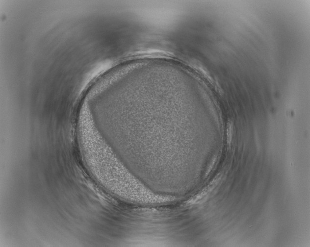 X0000088891405200706291428