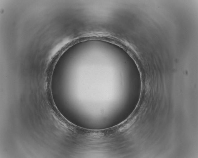 X0000088891406200706291428