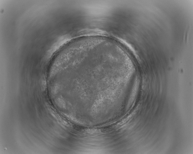 X0000088891407200706291428