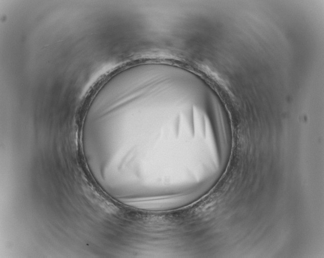 X0000088891408200706291428