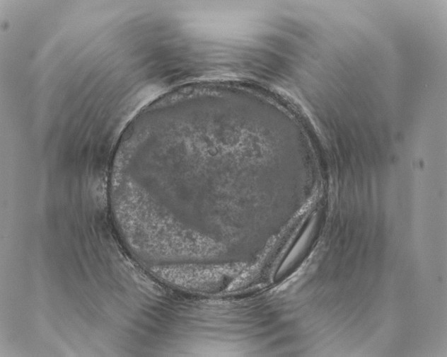 X0000088891409200706291428