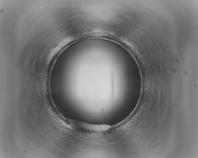 X0000088891410200706291428