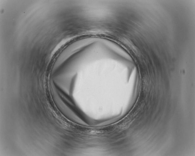 X0000088891412200706291428