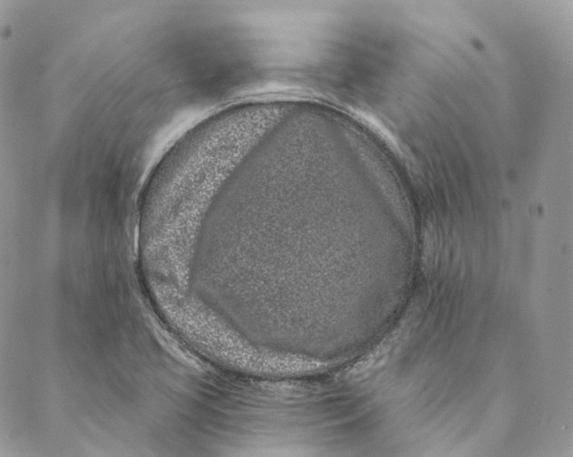 X0000088891413200706291428