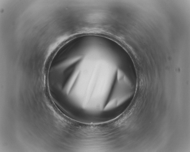 X0000088891414200706291428