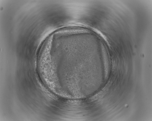 X0000088891415200706291428