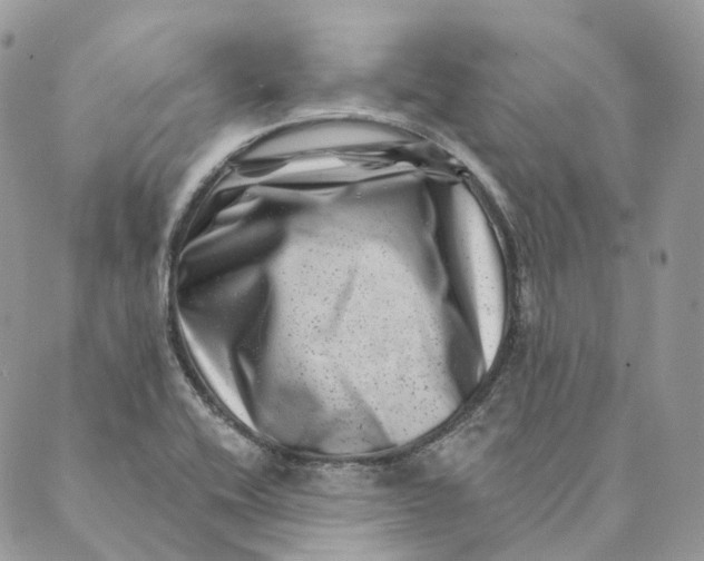 X0000088891416200706291428