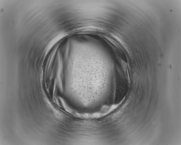 X0000088891418200706291428