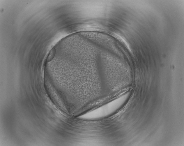 X0000088891419200706291428