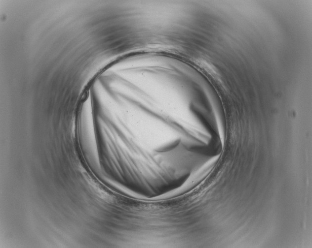 X0000088891420200706291428