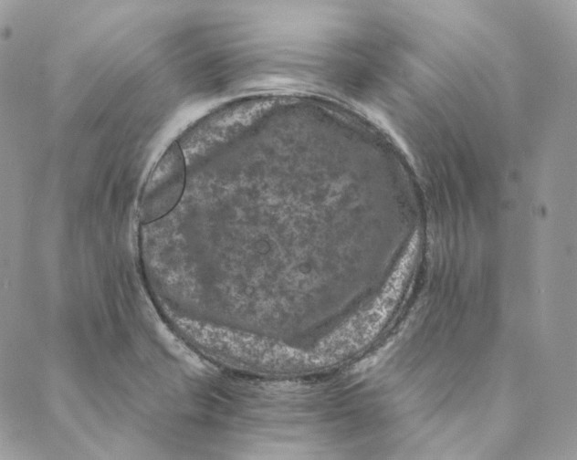 X0000088891421200706291428