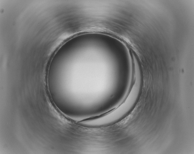 X0000088891422200706291428