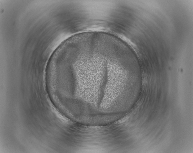 X0000088891423200706291428