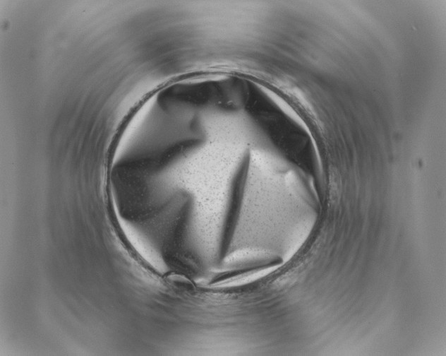 X0000088891424200706291428