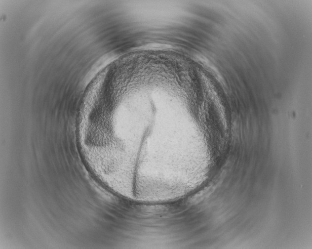 X0000088891425200706291428