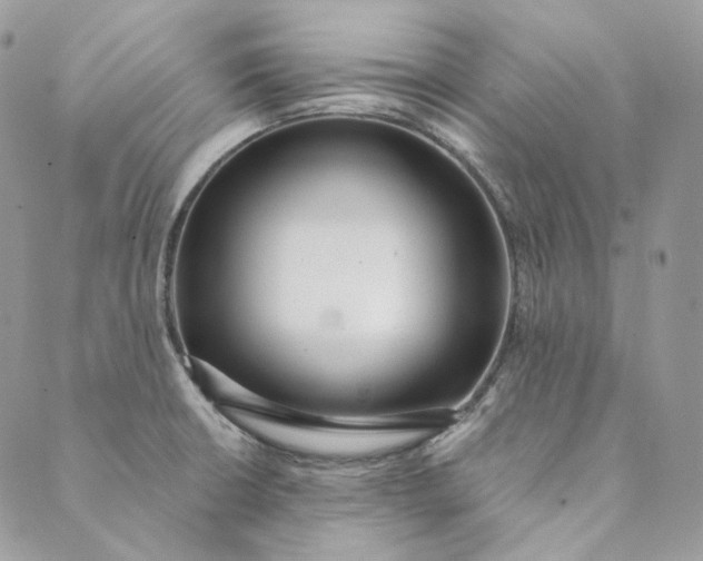 X0000088891426200706291428