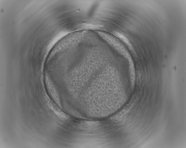 X0000088891427200706291428