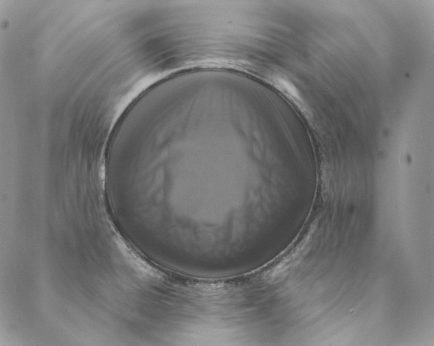 X0000088891428200706291429