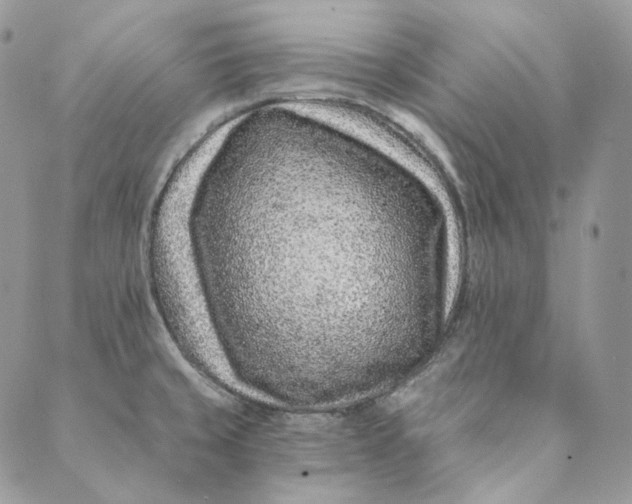 X0000088891429200706291429