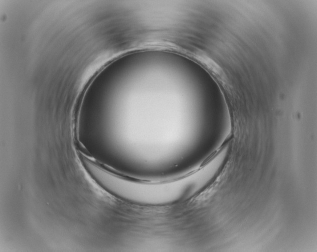 X0000088891430200706291429