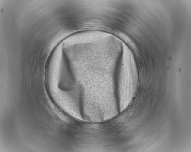 X0000088891431200706291429