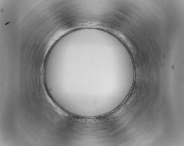 X0000088891432200706291429