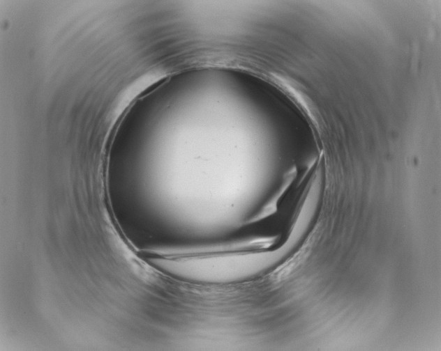 X0000088891434200706291429