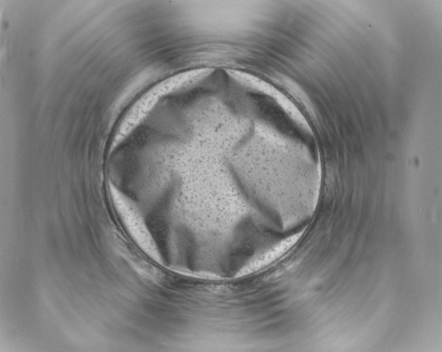 X0000088891435200706291429