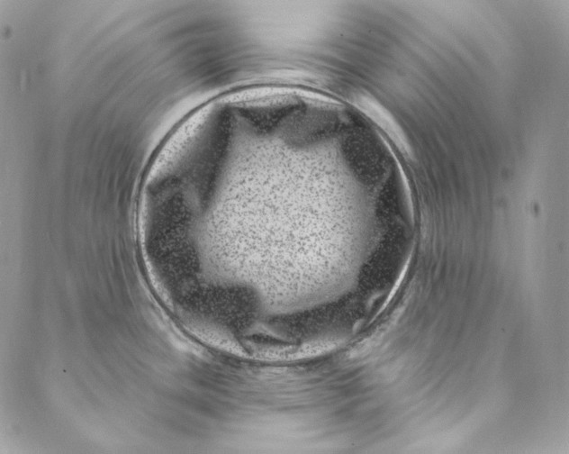 X0000088891436200706291429