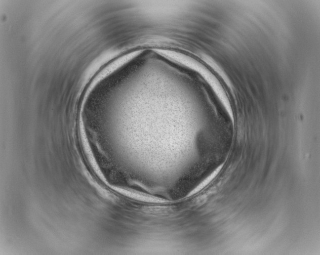 X0000088891437200706291429