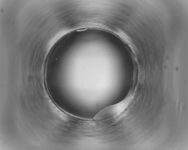 X0000088891438200706291429