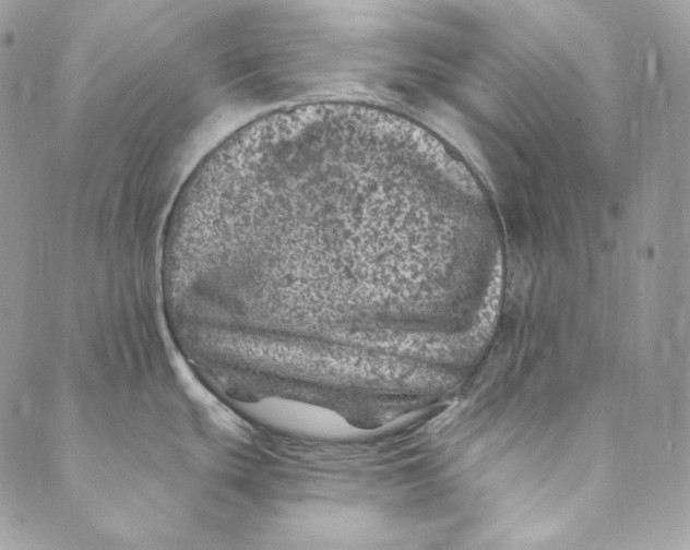 X0000088891439200706291429