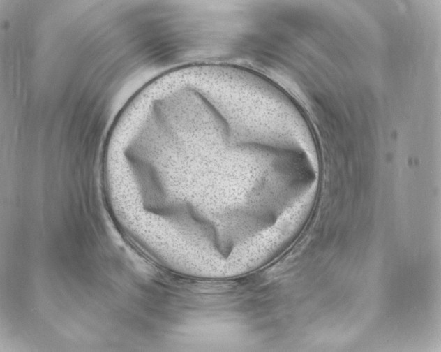 X0000088891440200706291429