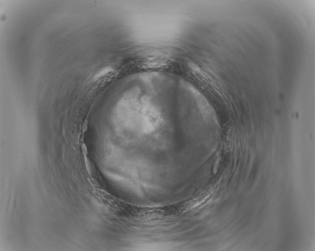 X0000088891441200706291428