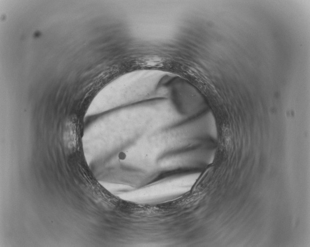 X0000088891442200706291428