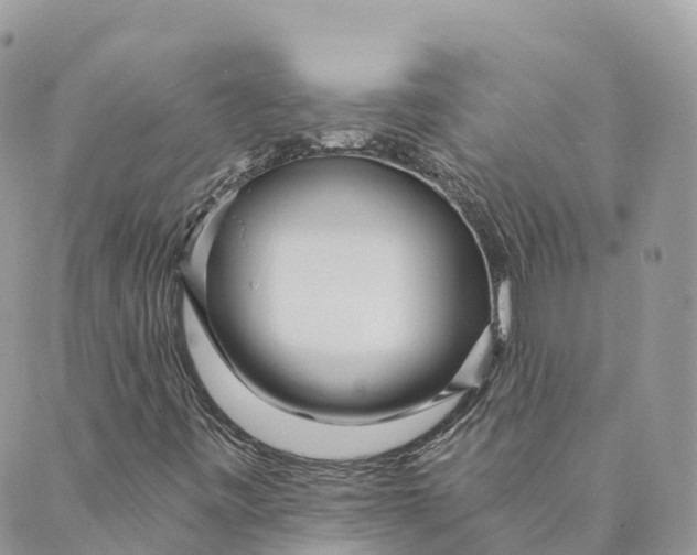 X0000088891443200706291428