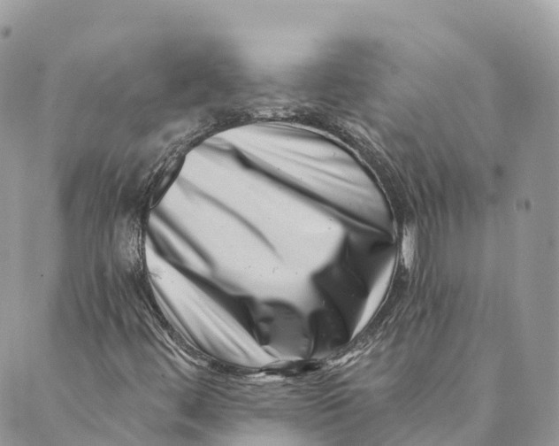 X0000088891444200706291428