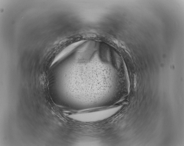 X0000088891445200706291428