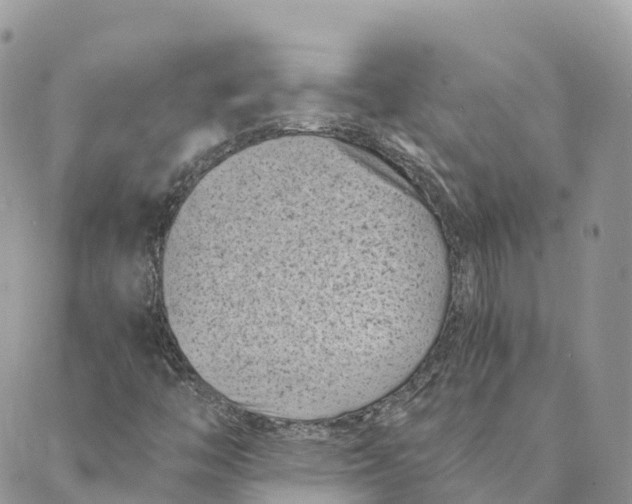 X0000088891446200706291428