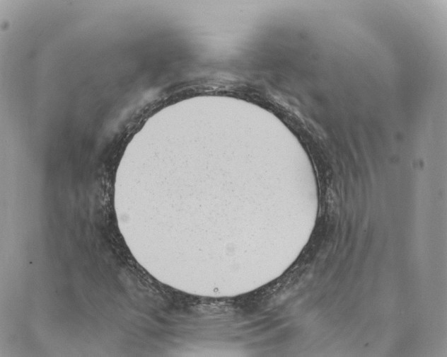 X0000088891447200706291428