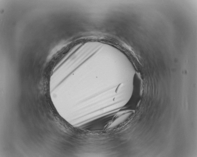 X0000088891448200706291428