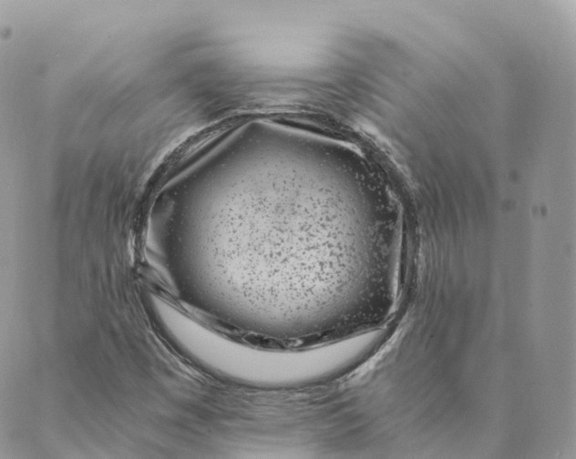 X0000088891449200706291428