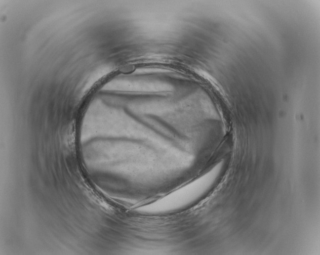 X0000088891450200706291428