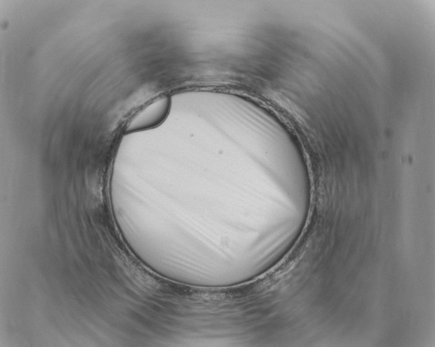 X0000088891451200706291428