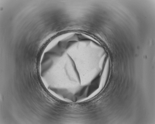 X0000088891452200706291428